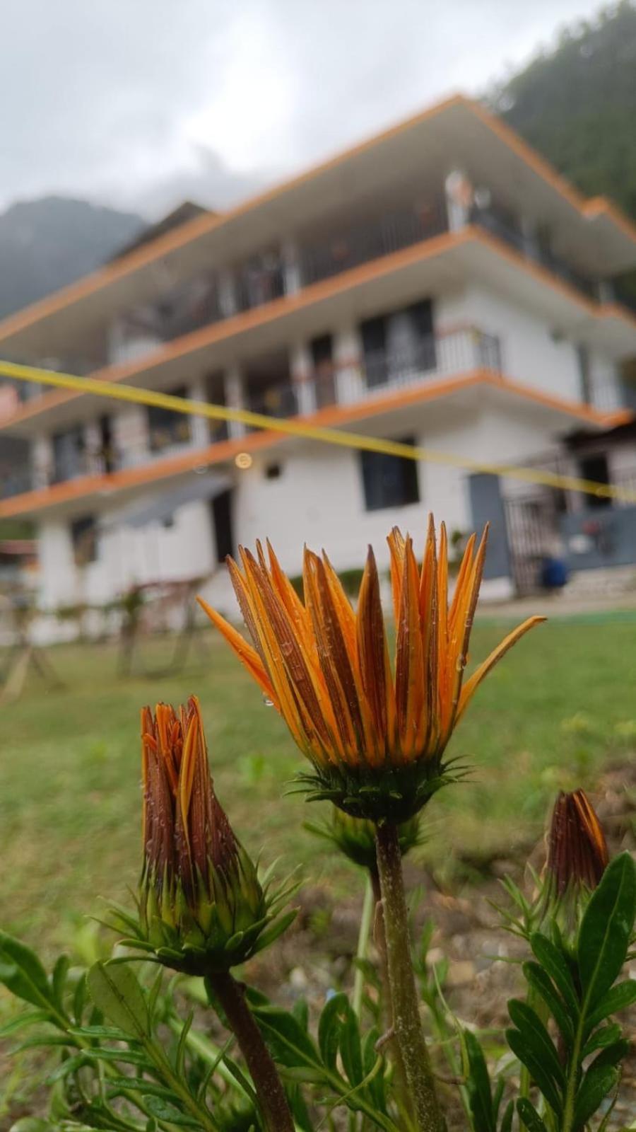 Himtrek Stay Kasol Exteriör bild