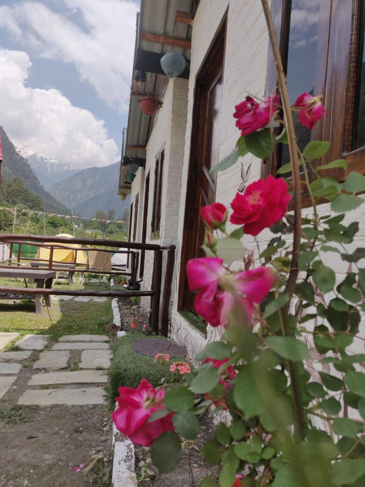 Himtrek Stay Kasol Exteriör bild