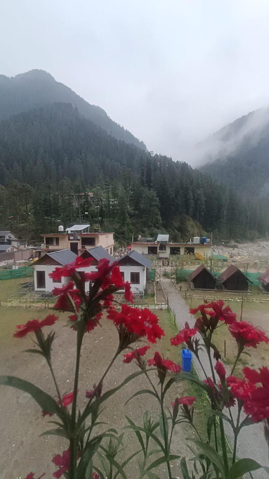 Himtrek Stay Kasol Exteriör bild