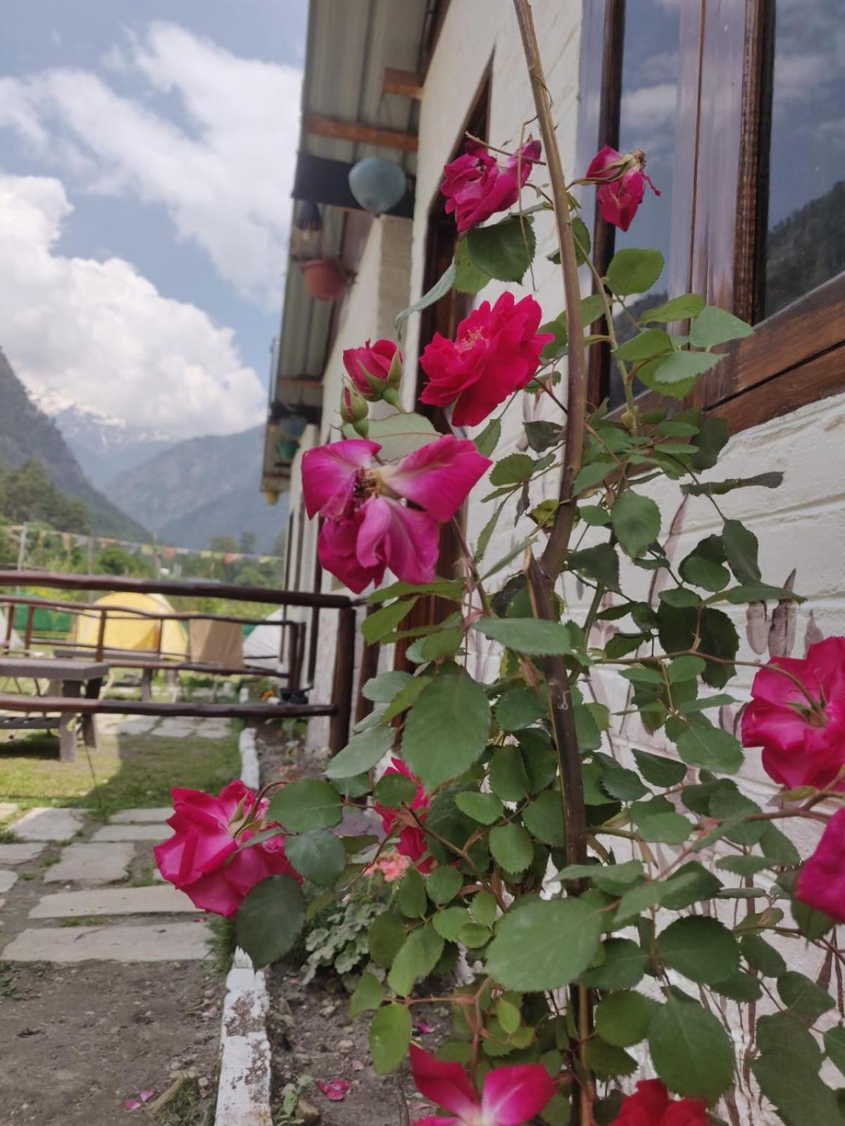 Himtrek Stay Kasol Exteriör bild