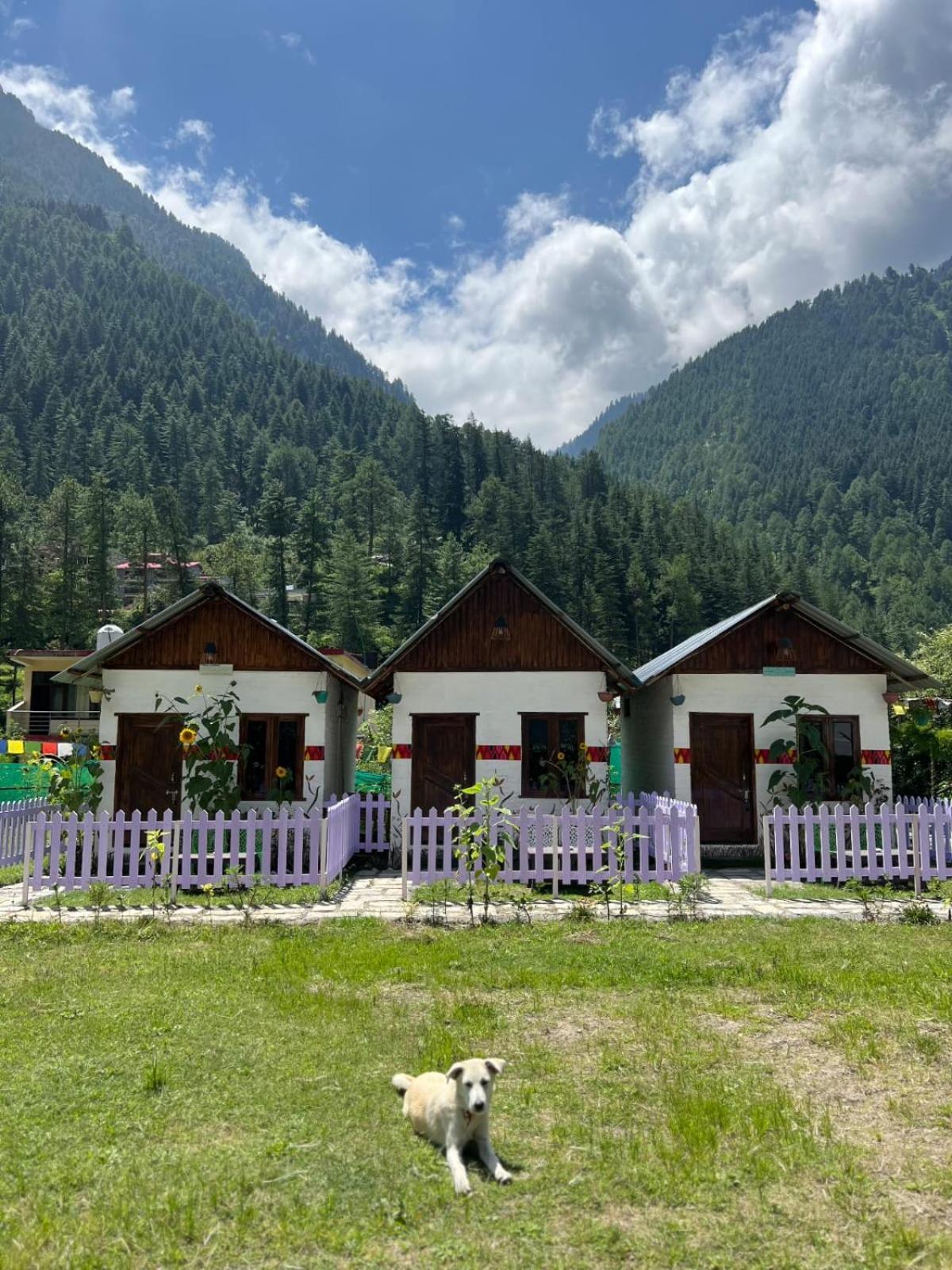Himtrek Stay Kasol Exteriör bild