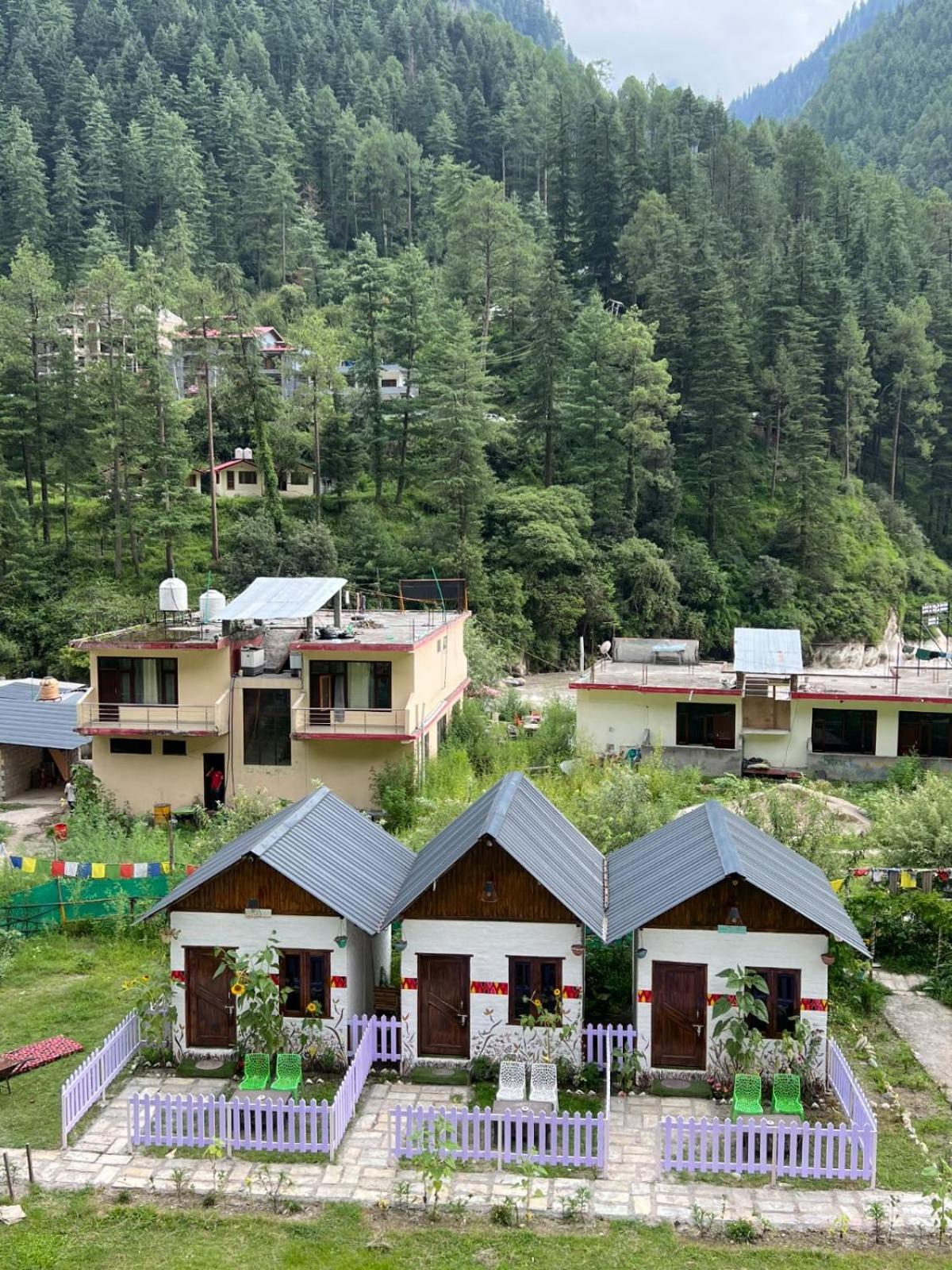 Himtrek Stay Kasol Exteriör bild