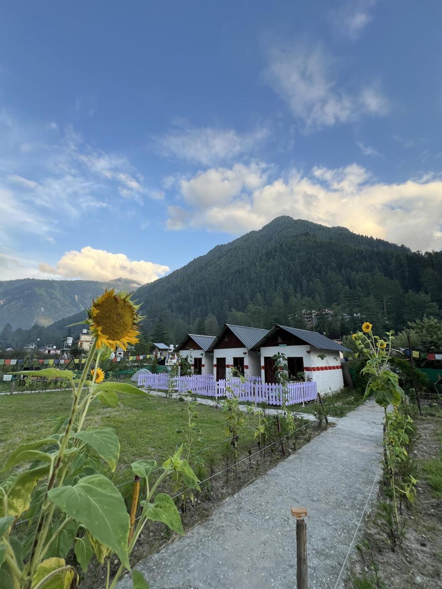 Himtrek Stay Kasol Exteriör bild