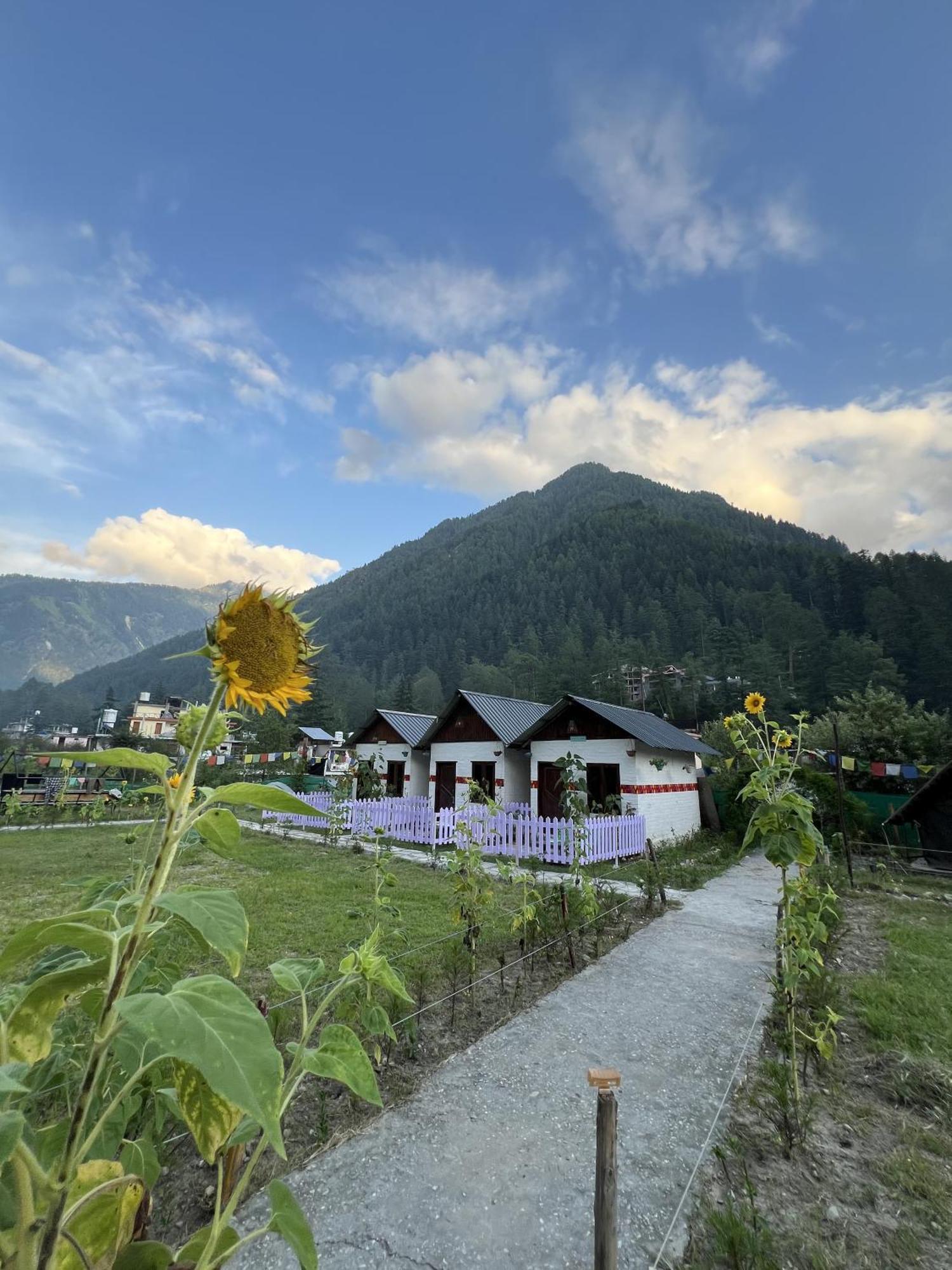 Himtrek Stay Kasol Exteriör bild